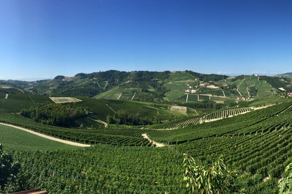 Guide to Travel Langhe
