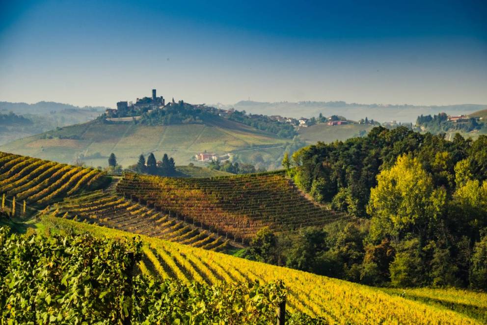 langhe travel guide